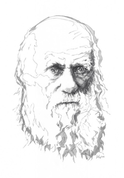 Dessin graphite sur papier - Aïcha Bendafi - Arles